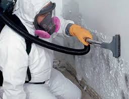 Why You Should Choose Our Mold Remediation Services in Ogdensburg, NJ